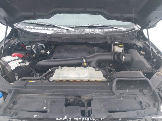 1FTFW1E83MFB81580 Ford F-150 Xlt