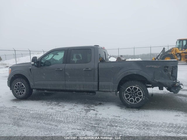1FTFW1E83MFB81580 Ford F-150 Xlt