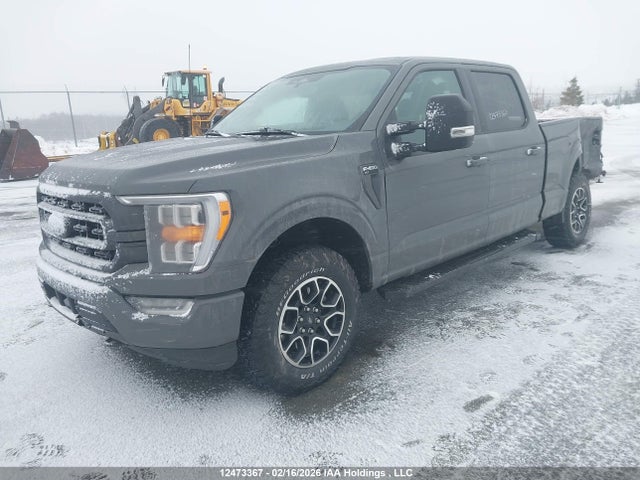1FTFW1E83MFB81580 Ford F-150 Xlt