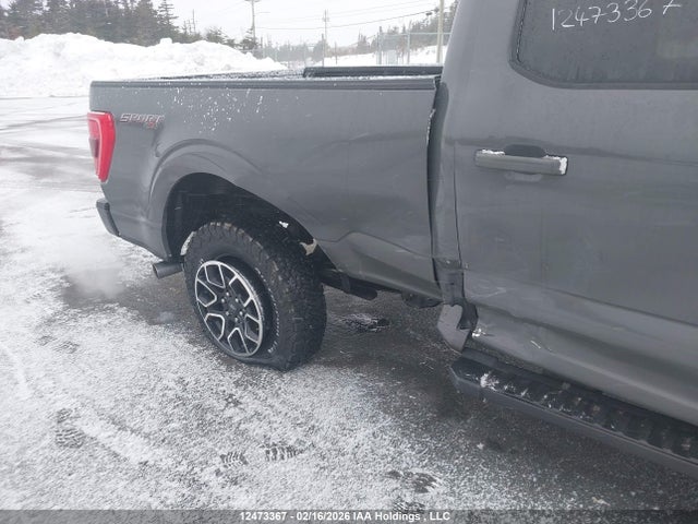 1FTFW1E83MFB81580 Ford F-150 Xlt