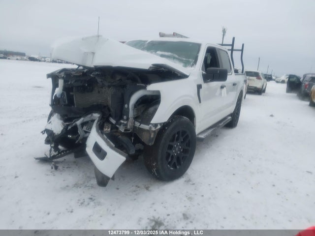12473799 :رقم المزاد ، 1FTEW2LPXRKD41206 vin ، 2024 Ford F150 Stx مزاد بيع