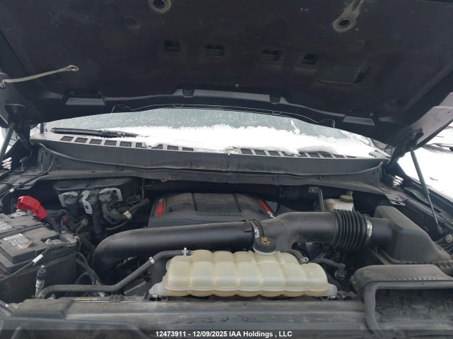 2021 Ford F-150 Raptor მანქანა იყიდება აუქციონზე, vin: 1FTFW1RGXMFC51691, აუქციონის ნომერი: 12473911