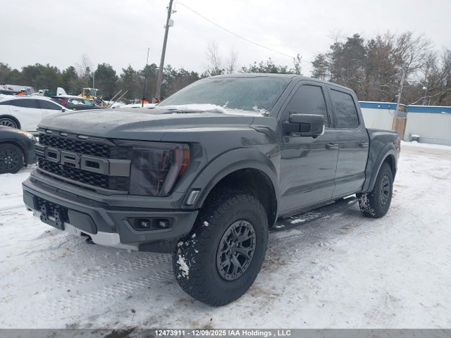 2021 Ford F-150 Raptor მანქანა იყიდება აუქციონზე, vin: 1FTFW1RGXMFC51691, აუქციონის ნომერი: 12473911