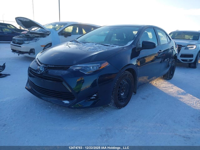 Aukcja sprzedaży 2019 Toyota Corolla L/le/xle/se/xse, vin: 2T1BURHE4KC159310, numer aukcji: 12474783