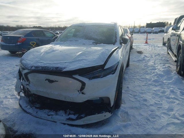 Продаж на аукціоні авто 2024 Ford Mustang Mach-e, vin: 3FMTK1S55RMA25150, номер лоту: 12474835