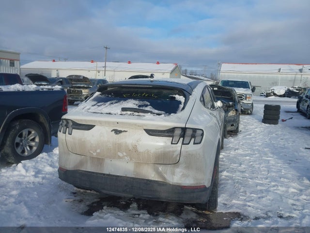 Продаж на аукціоні авто 2024 Ford Mustang Mach-e, vin: 3FMTK1S55RMA25150, номер лоту: 12474835