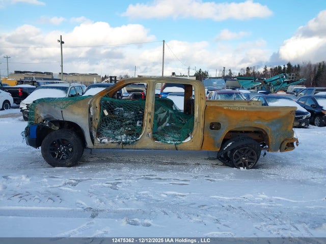 3GCUDFED7RG158350 Chevrolet Silverado 1500 Lt Trail Boss