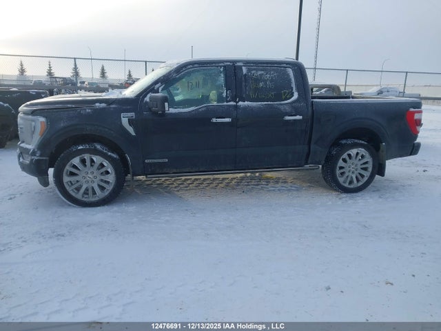 12476691 :رقم المزاد ، 1FTFW1ED1NFA36388 vin ، 2022 Ford F-150 Limited مزاد بيع