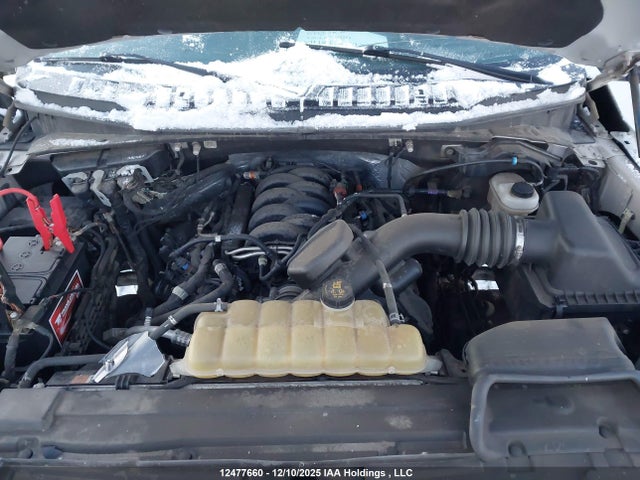 1FTFW1E51KKE26113 Ford F150 Supercrew