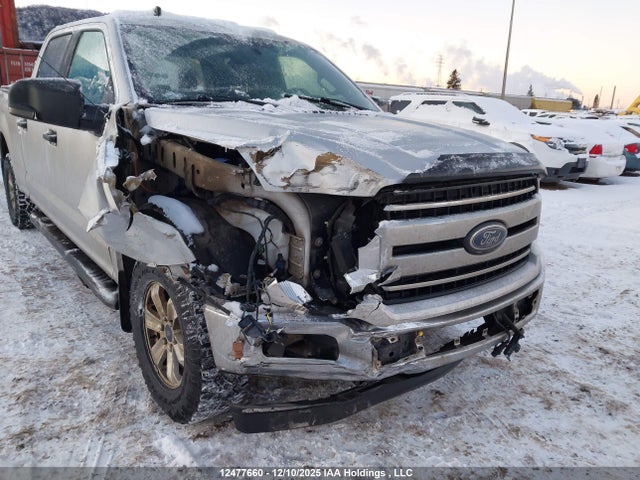 1FTFW1E51KKE26113 Ford F150 Supercrew