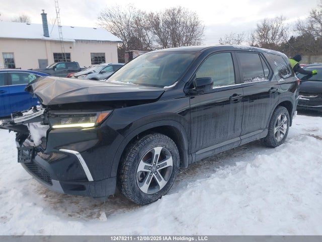 5FNYG1H46SB509638 Honda Pilot Ex-l