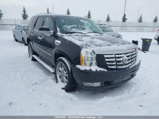 2011 Cadillac Escalade მანქანა იყიდება აუქციონზე, vin: 1GYS4BEF5BR194488, აუქციონის ნომერი: 12478356