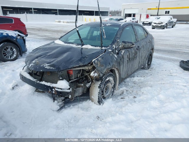 2T1BURHE0GC592131 Toyota Corolla