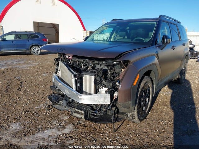 Hyundai Santa Fe Xrt 2025 5NMP3DGL3SH120102 Image 6