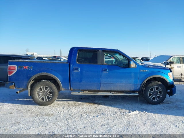 12478621 :رقم المزاد ، 1FTFW1EV1AFA38631 vin ، 2010 Ford F150 Supercrew مزاد بيع
