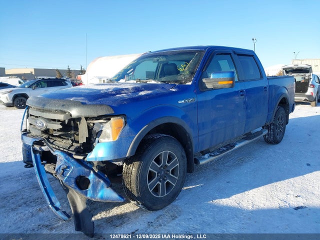 12478621 :رقم المزاد ، 1FTFW1EV1AFA38631 vin ، 2010 Ford F150 Supercrew مزاد بيع