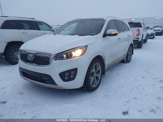 5XYPKDA14GG093164 KIA Sorento
