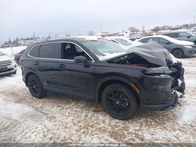 2HKRS6H70SH225434 Honda CR-V EXL