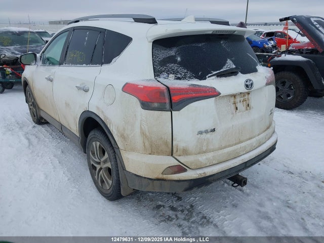 Продаж на аукціоні авто 2017 Toyota Rav4 Le, vin: 2T3BFREV7HW621694, номер лоту: 12479631
