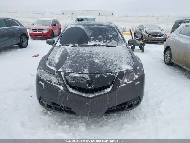 Aukcja sprzedaży 2010 Acura Tl, vin: 19UUA9F53AA800004, numer aukcji: 12479993