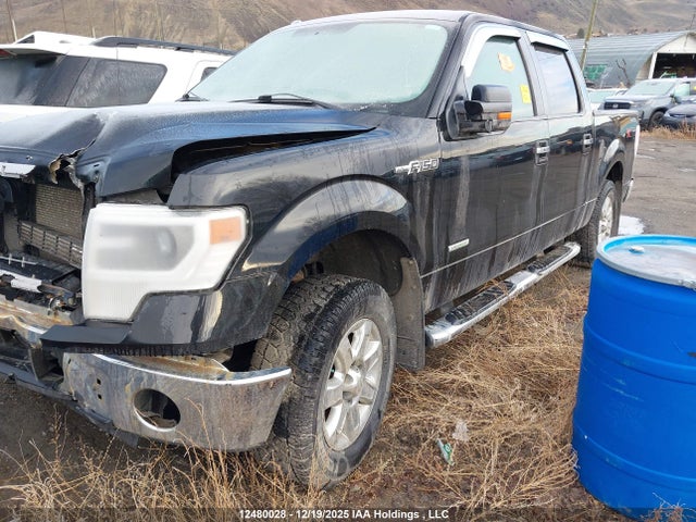 12480028 :رقم المزاد ، 1FTFW1ET9EFB35712 vin ، 2014 Ford F-150 Xlt مزاد بيع