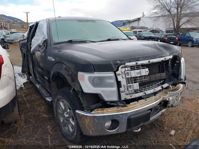 12480028 :رقم المزاد ، 1FTFW1ET9EFB35712 vin ، 2014 Ford F-150 Xlt مزاد بيع