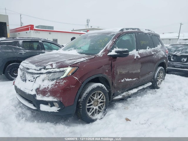 5FNYF8H96LB501144 Honda Passport Touring