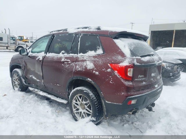 5FNYF8H96LB501144 Honda Passport Touring