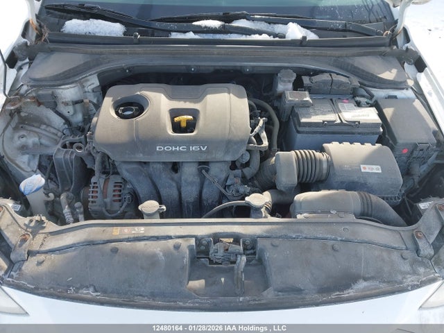 KMHD84LF9HU307667 Hyundai ELANTRA GL