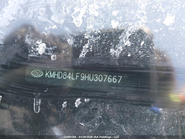 KMHD84LF9HU307667 Hyundai ELANTRA GL