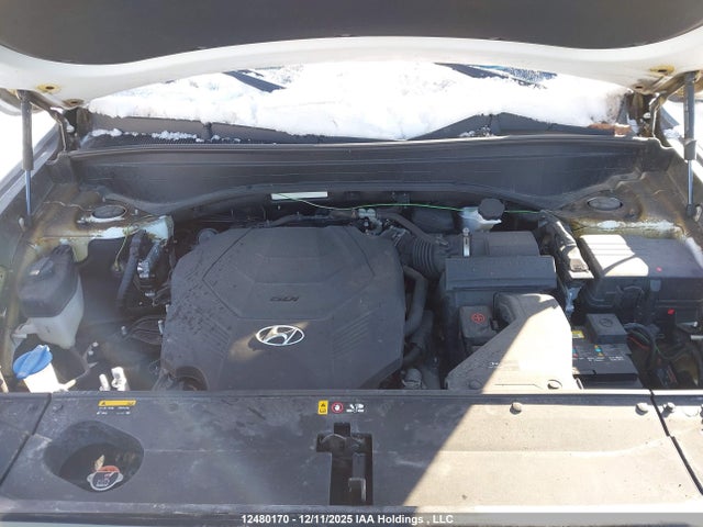 Hyundai Palisade Limited 2020 KM8R5DHE0LU041429 Image 10