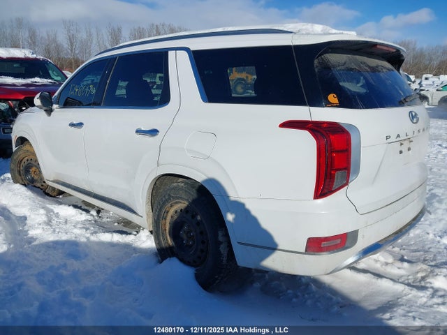 Hyundai Palisade Limited 2020 KM8R5DHE0LU041429 Image 3