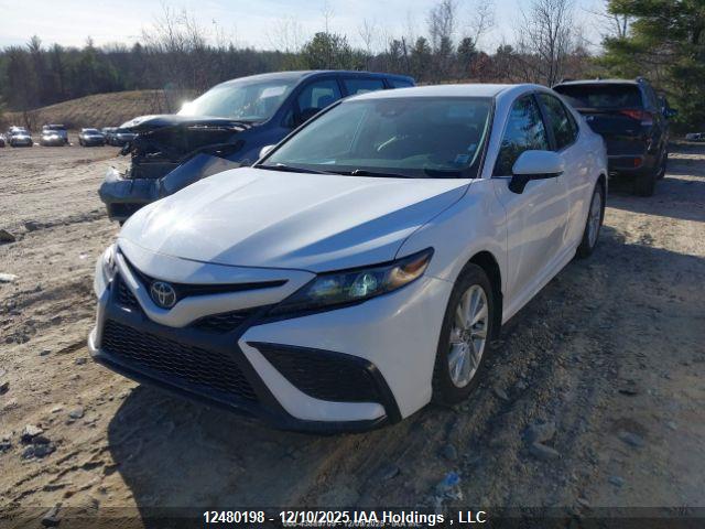 4T1G11AK8RU911390 Toyota CAMRY SE