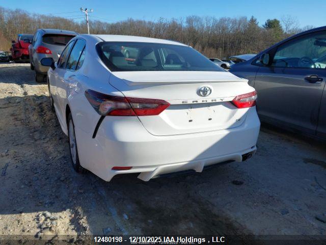 4T1G11AK8RU911390 Toyota CAMRY SE