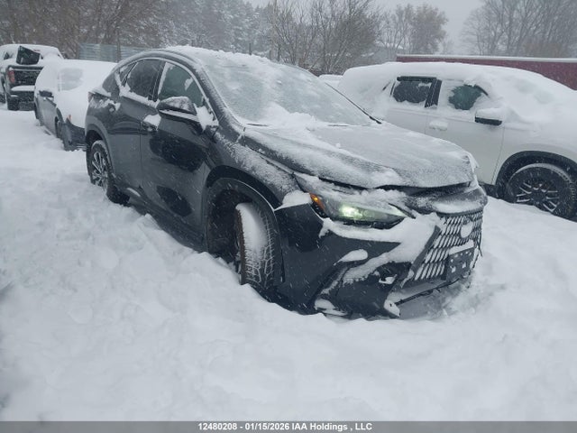 12480208 :رقم المزاد ، 2T2GGCEZ5TC097477 vin ، 2026 Lexus Nx Nx 350 مزاد بيع