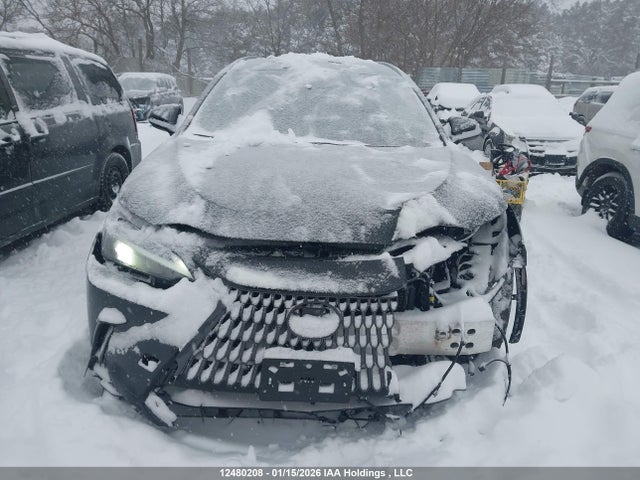 12480208 :رقم المزاد ، 2T2GGCEZ5TC097477 vin ، 2026 Lexus Nx Nx 350 مزاد بيع