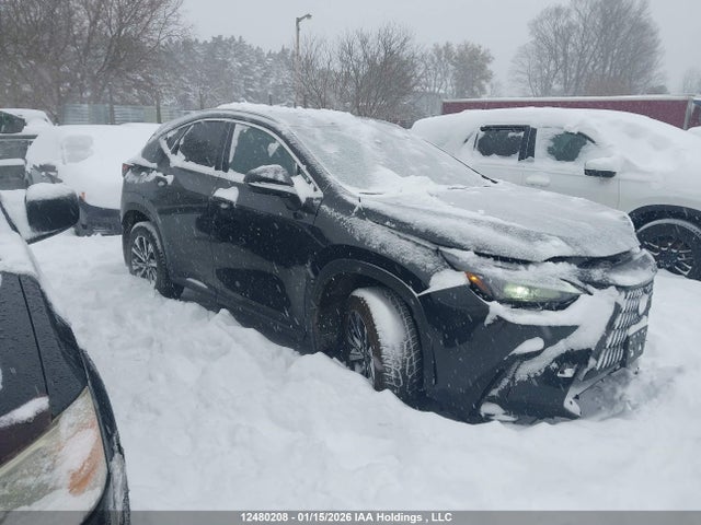 12480208 :رقم المزاد ، 2T2GGCEZ5TC097477 vin ، 2026 Lexus Nx Nx 350 مزاد بيع