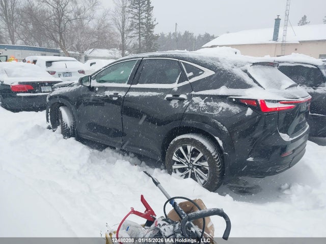 12480208 :رقم المزاد ، 2T2GGCEZ5TC097477 vin ، 2026 Lexus Nx Nx 350 مزاد بيع