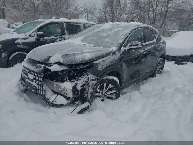 12480208 :رقم المزاد ، 2T2GGCEZ5TC097477 vin ، 2026 Lexus Nx Nx 350 مزاد بيع