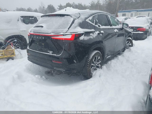12480208 :رقم المزاد ، 2T2GGCEZ5TC097477 vin ، 2026 Lexus Nx Nx 350 مزاد بيع