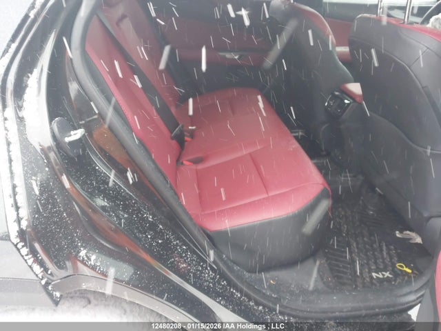 12480208 :رقم المزاد ، 2T2GGCEZ5TC097477 vin ، 2026 Lexus Nx Nx 350 مزاد بيع