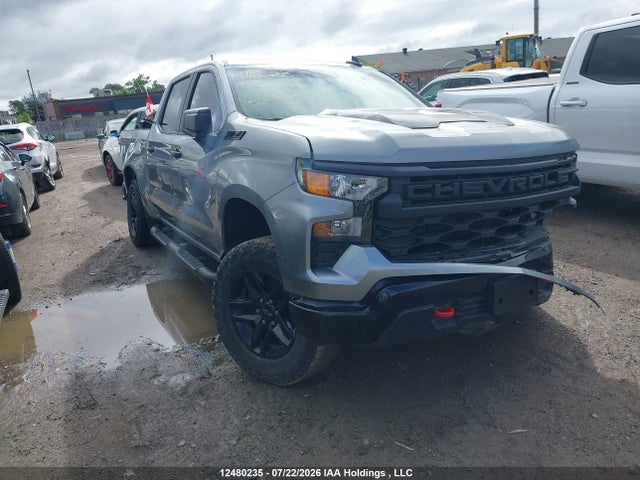Продаж на аукціоні авто 2023 Chevrolet Silverado 1500, vin: 3GCUDCED8PG326945, номер лоту: 12480235