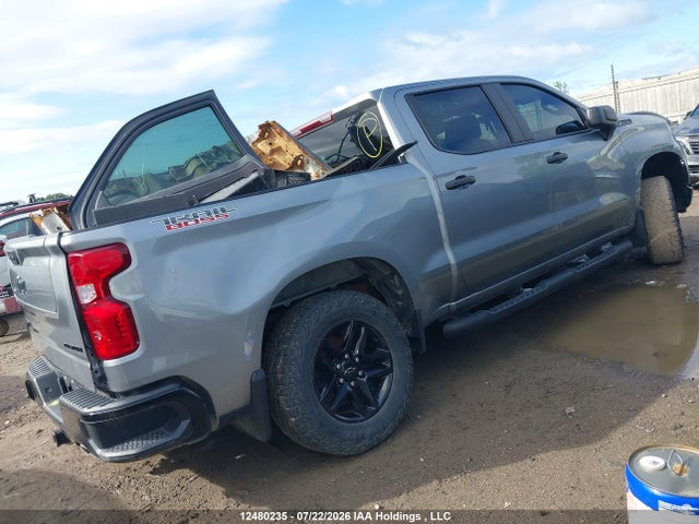 Продаж на аукціоні авто 2023 Chevrolet Silverado 1500, vin: 3GCUDCED8PG326945, номер лоту: 12480235
