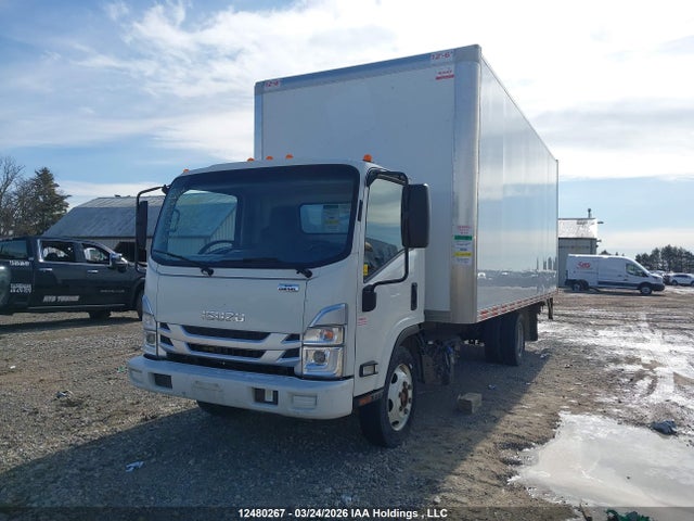 12480267 :رقم المزاد ، JALE5W167P7304472 vin ، 2023 Isuzu Nrr مزاد بيع