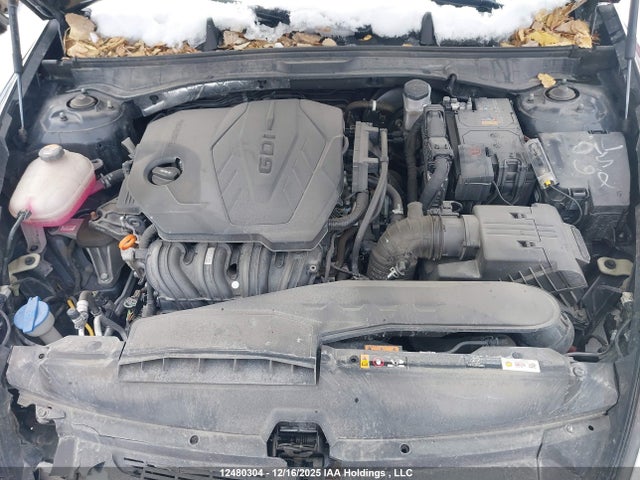 KMHL24JA7PA303900 Hyundai Sonata Preferred