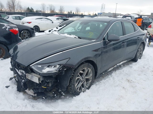 KMHL24JA7PA303900 Hyundai Sonata Preferred