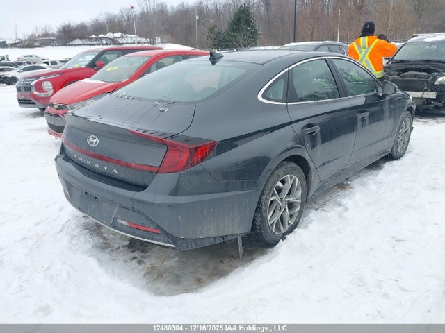 KMHL24JA7PA303900 Hyundai Sonata Preferred