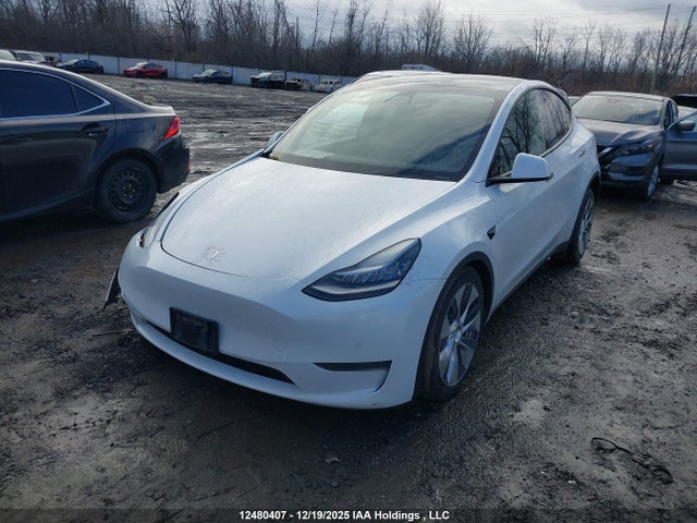 5YJYGDEE0LF045195 Tesla Model Y Long Range