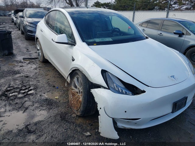 5YJYGDEE0LF045195 Tesla Model Y Long Range