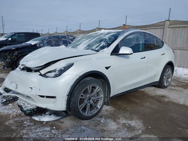 Aukcja sprzedaży 2023 Tesla Model Y Long Range, vin: 7SAYGAEE3PF758759, numer aukcji: 12480618